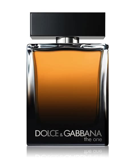 douglas dolce gabbana the one herren